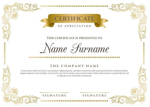 Award certificate 2 - Viswas Packers and Movers