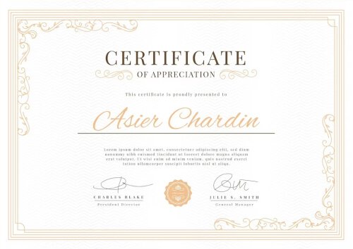 Award certificate 3 - Viswas Packers and Movers